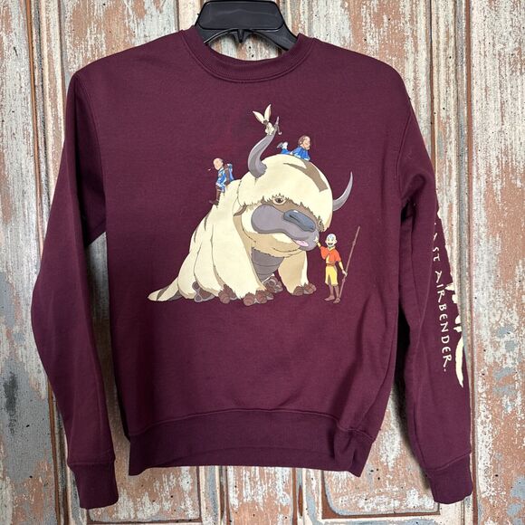 Avatar The Last Airbender Group Portrait Aang, Burgundy Sweater, Womens Size XS - Picture 1 of 7